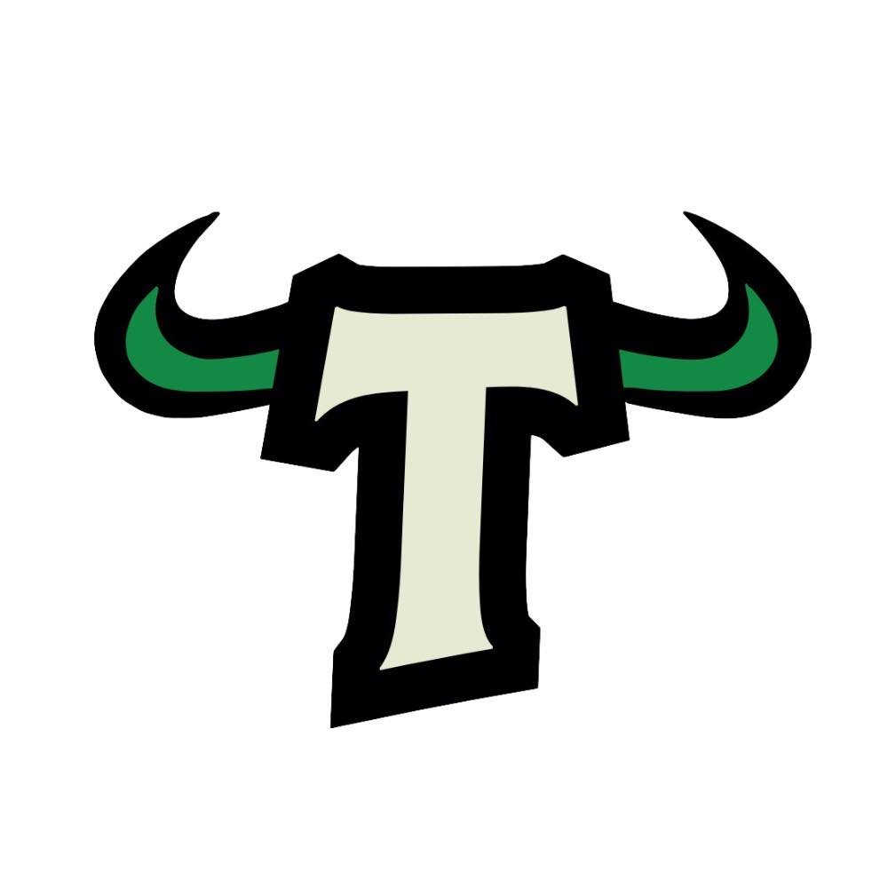 Logo Oficial del Equipo de Babahoyo Toreros de la LNE