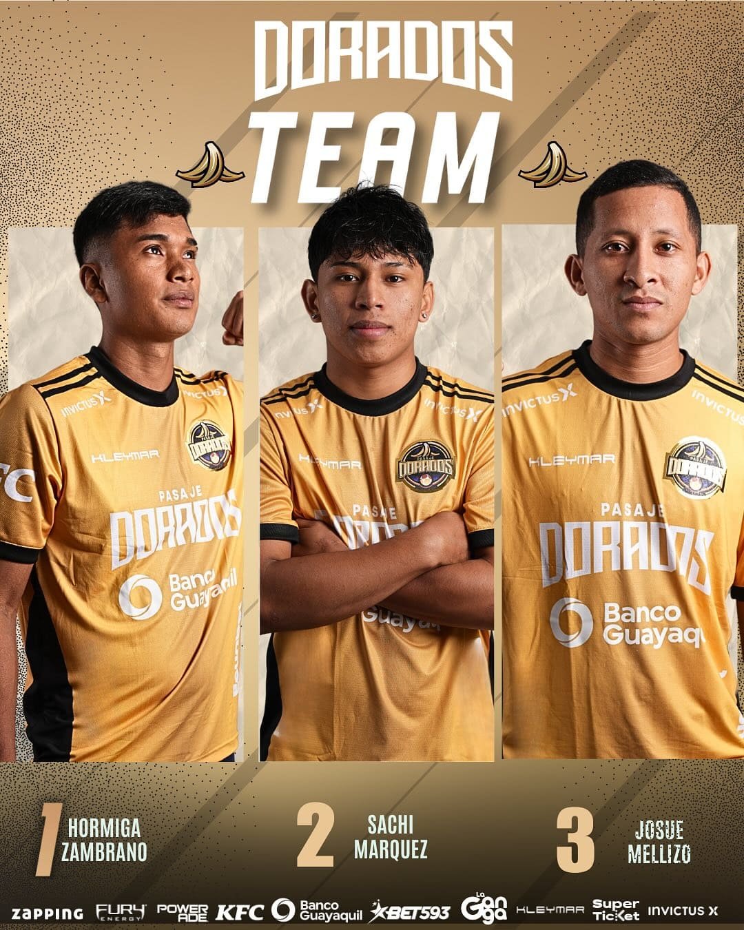 Equipo Oficial de Pasajes Dorados