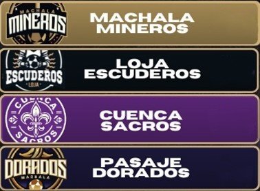 Equipos de la Division Sur de la LNE